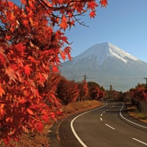 Japan holiday packages - Autumn Leaves - Koyo