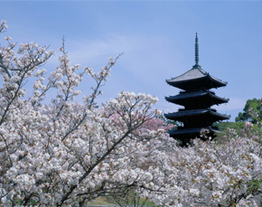 Japan travel destinations - Kyoto