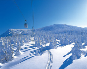 Japan holiday packages - snow skiing and snowboarding