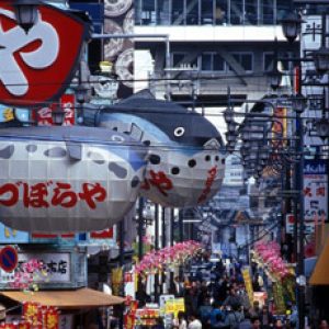 Japan day tours - Osaka tours