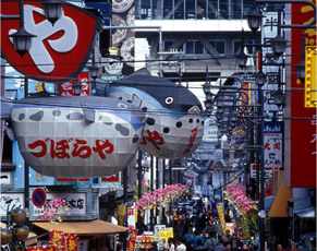 Japan day tours - Osaka tours