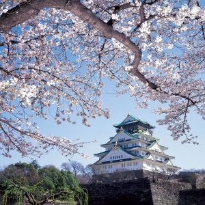 Japan Day Tours - Osaka Day tours