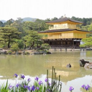 Kyoto Private Cycling Tours - Kinkakuji Arashiyama Golden Tour