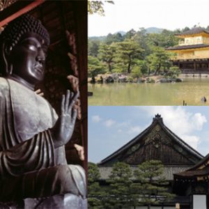 Kyoto Nara 1 day tour