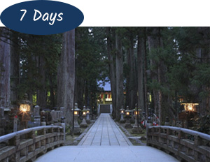 Discover Mt Koya 7 days Package