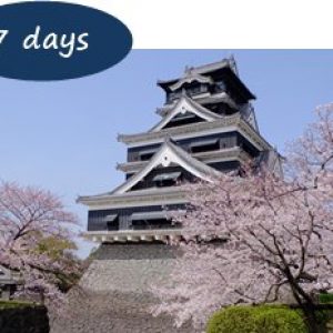 Cherry blossom Kyushu 7 days