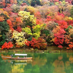 Japan Autumn Leaves Holiday Packages