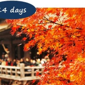Japan Autumn Leaves Holiday Packages - Autumn Leaves Japan 14 days