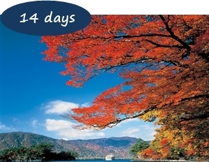Japan Autumn Leaves Holiday Packages - Hidden Autumn Leaves Northern Japan 14 days