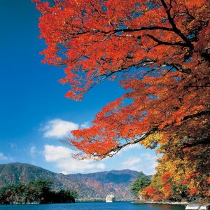 Hidden Autumn Leaves Northern Japan 14 days