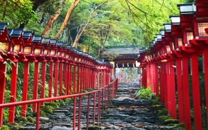 Fully escorted Japan package tours