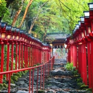 fully-escorted-japan-package-tours